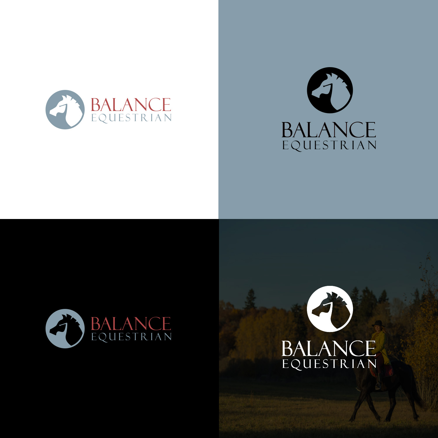 Logo Design by nzdesigners for Balance Eq | Design #26057616