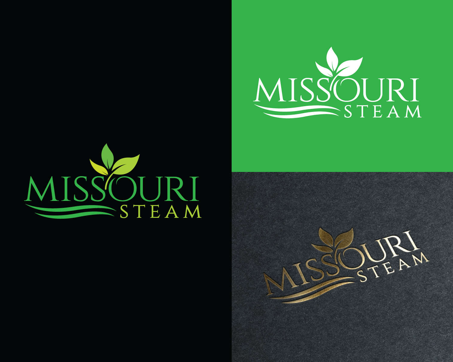 Logo Design by Atec for Missouri steam | Design #26047252