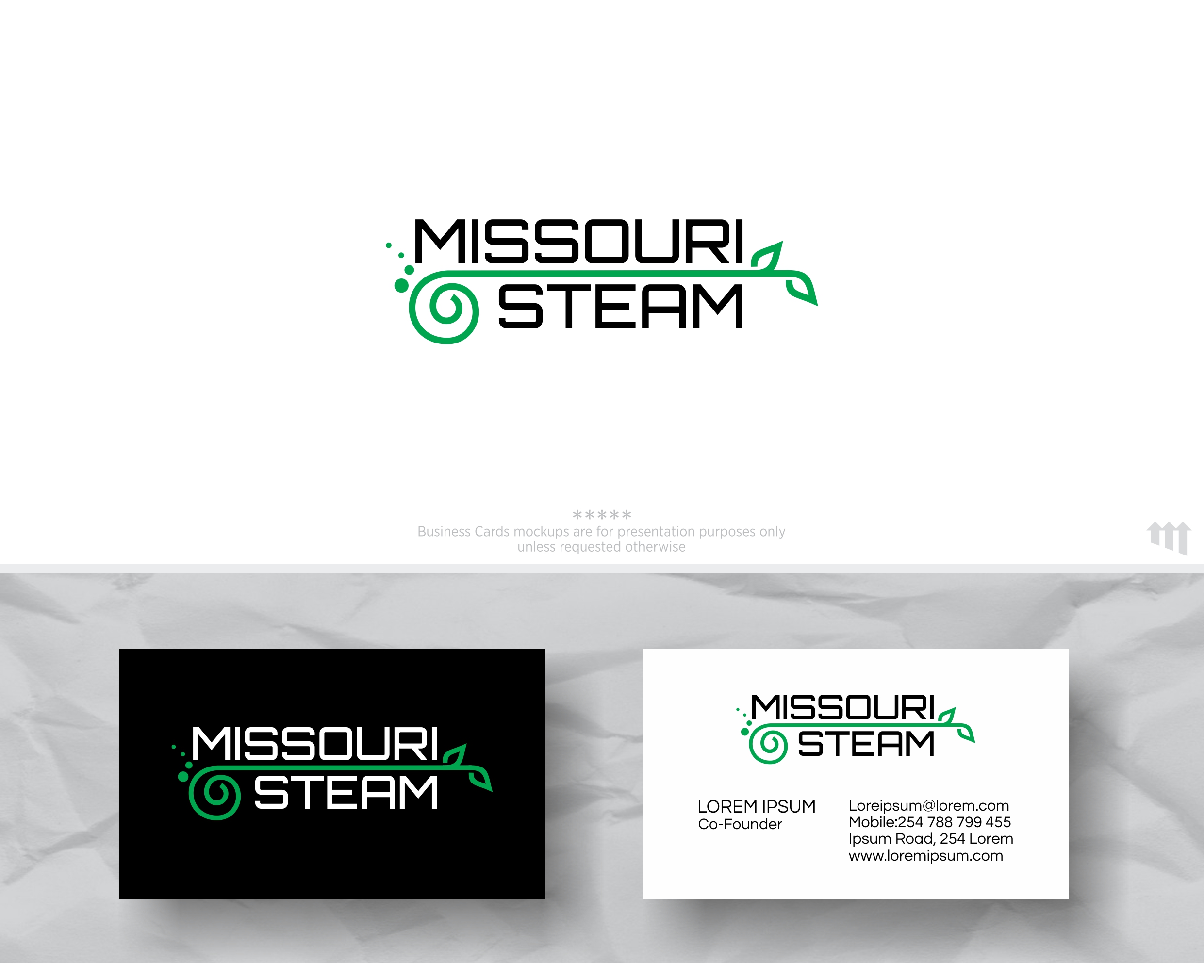 Logo Design by MBARO for Missouri steam | Design #26081236