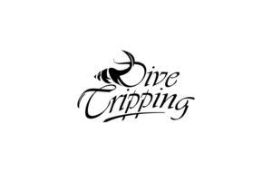 Logo Design by BUNG for this project | Design: #26070268