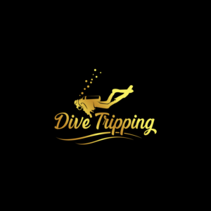 Logo Design by geni for this project | Design #26068049