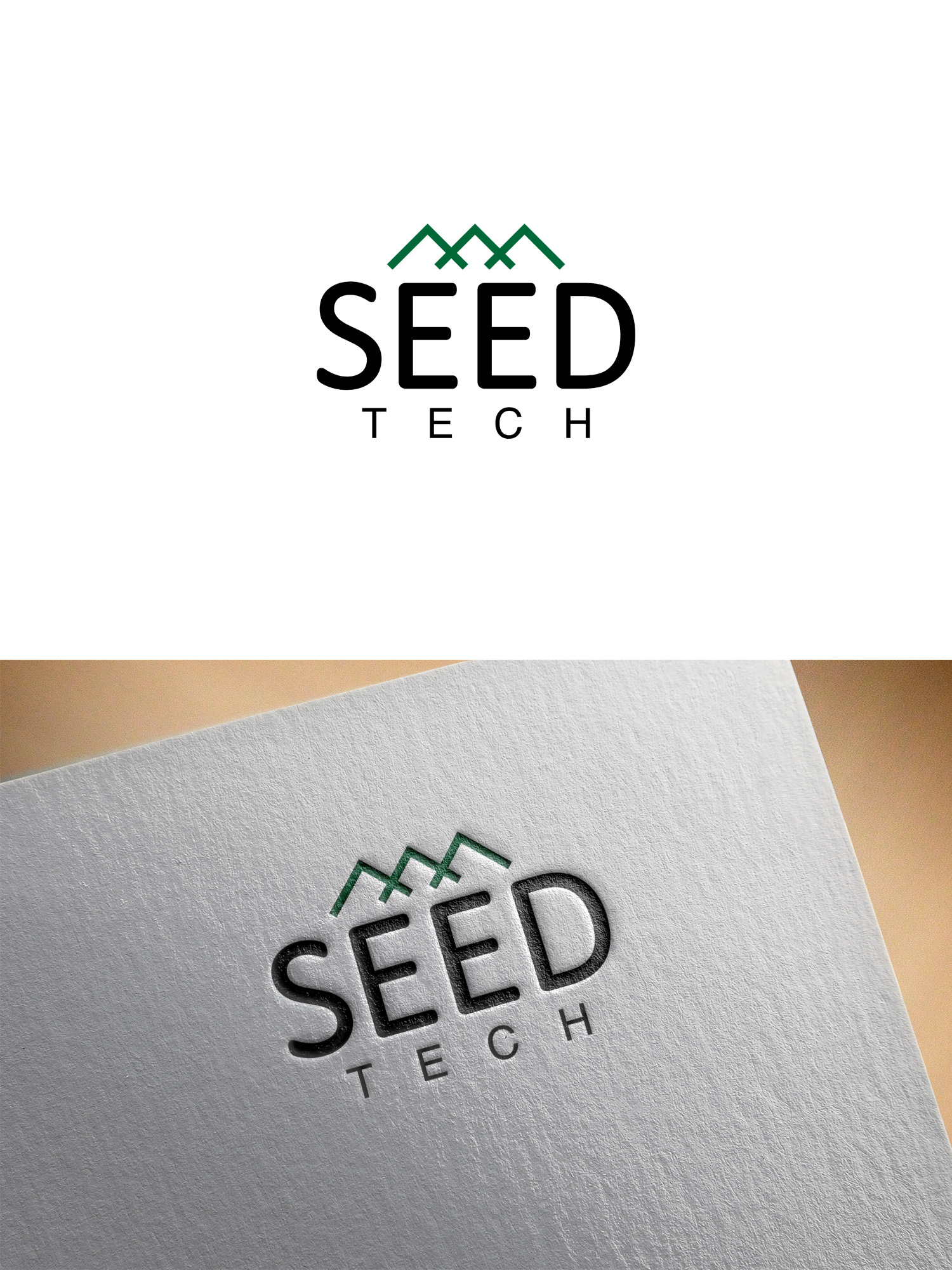 Design de Logo par Arun 25 pour Seed Tech Software Development L.L.C | Design #26047183