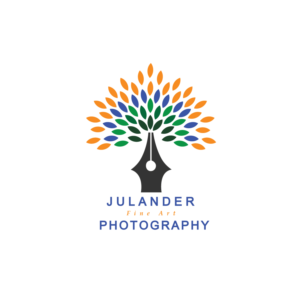 Logo Design by Bright Star