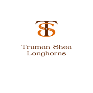 Truman Shea Longhorns | Logo Design by borzoidd