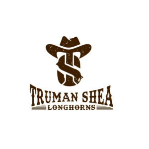 Diseño de Logo por LAXMI DESIGNHUB para este proyecto | Diseño: #26051498
