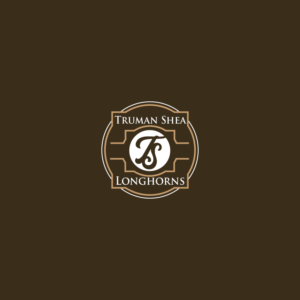 Logo Design by nzdesigners for this project | Design #26057642