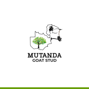 Design de Logo par ARTDOTBUMBA HOUSE OF DESIGN pour ce projet | Design #26088476