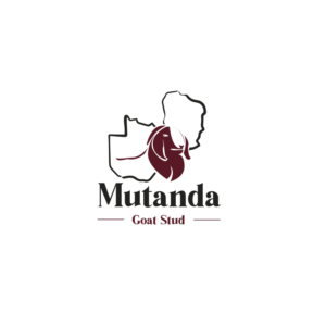 Design de Logo par Aaaron pour ce projet | Design : #26090268