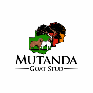 Mutanda Goat Stud | Diseño de Logo por luckdesign