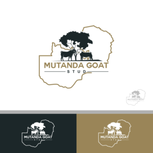 Design de Logo par fly  design pour ce projet | Design : #26058362
