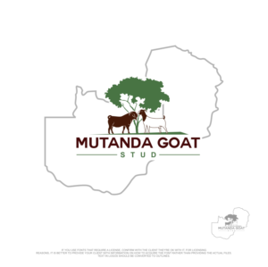 Design de Logo par fly  design pour ce projet | Design : #26066640