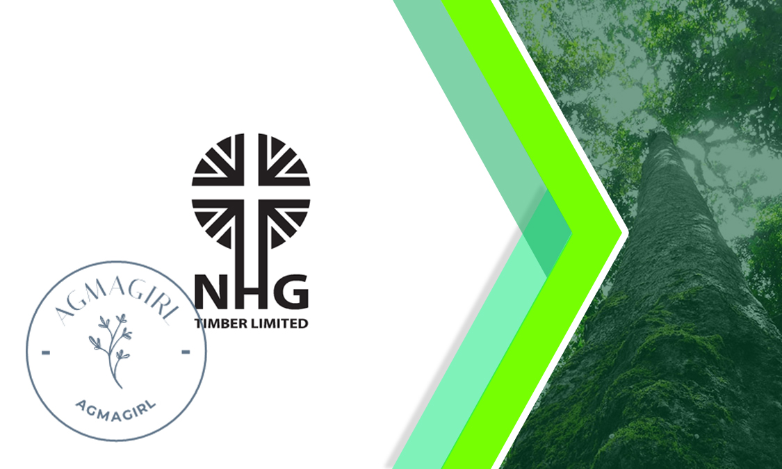 Business Card Design by agmagirl designs for NHG Timber Ltd | Design #26061426