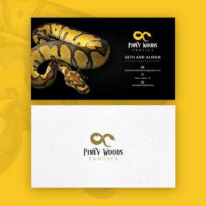 Business Card Design by Souvik Roy (Alex Pro)