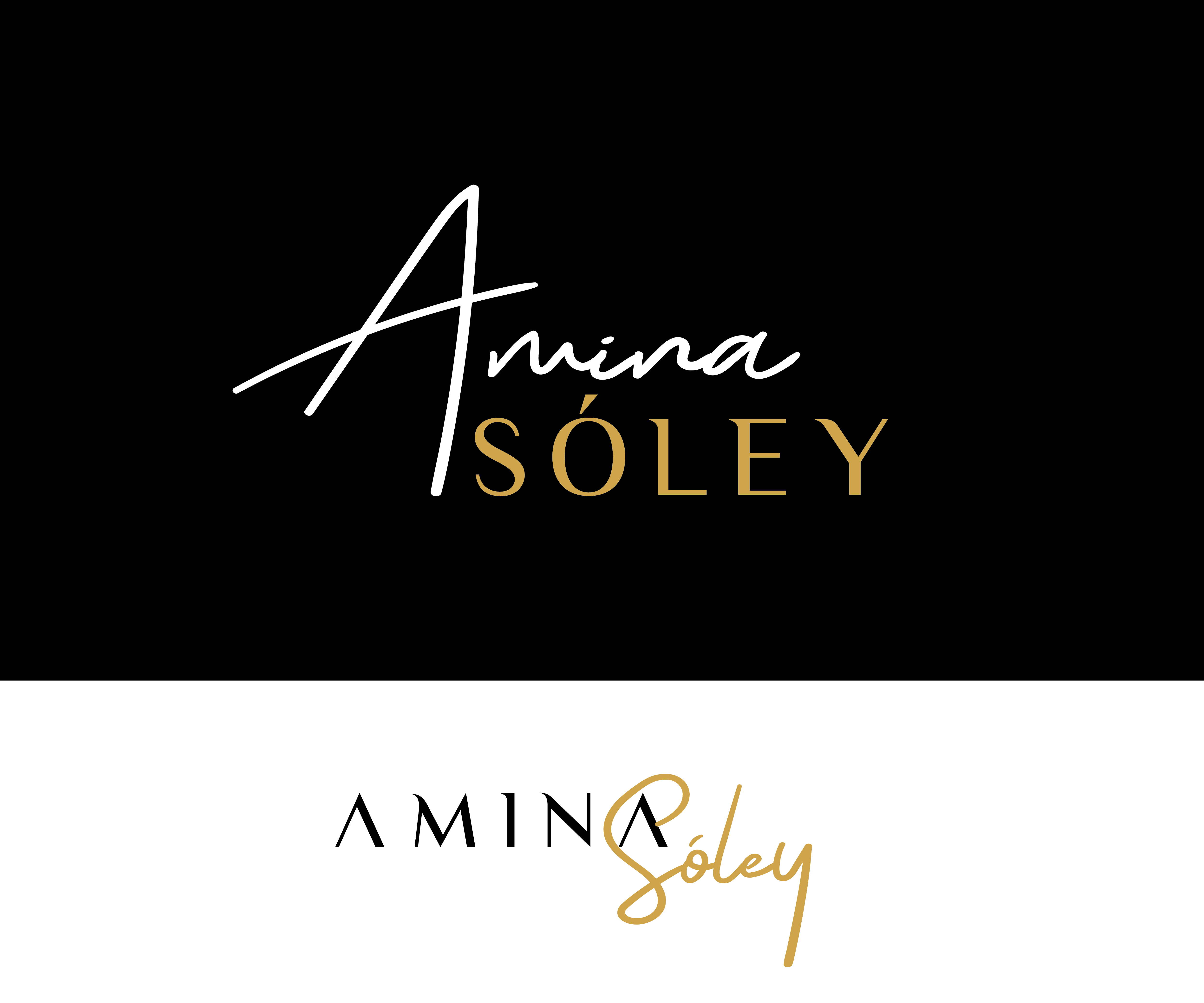Design de Logo par renderman pour Amina Sóley | Design #26063888