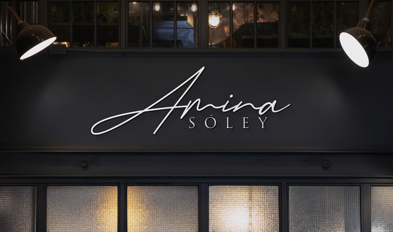 Logo Design by DgnWow for Amina Sóley | Design: #26155442