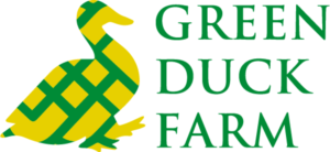 Logo Design by Marie Angeli