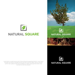 Logo Design by Apple Dsigner