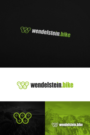 Logo Design by Oleksandr Tovarkov for Stefan Huber | Design: #26104254
