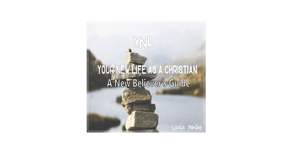 Book Cover Design by Giovanni for this project | Design #26079863