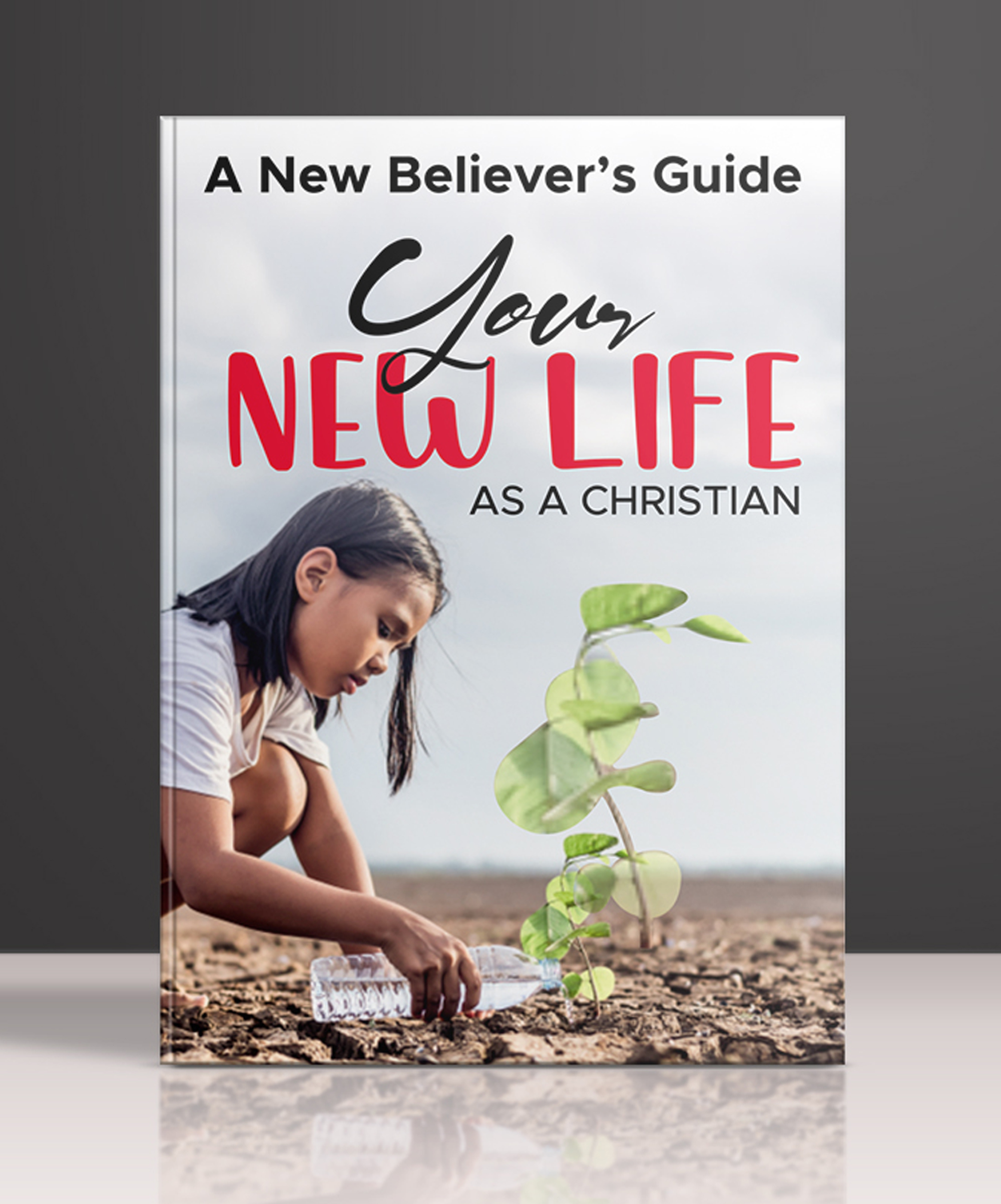 Diseño de portada de libro por ecorokerz para este proyecto | Diseño #26067618