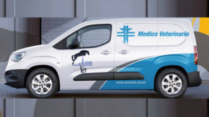 Car Wrap Design by Adi Saos