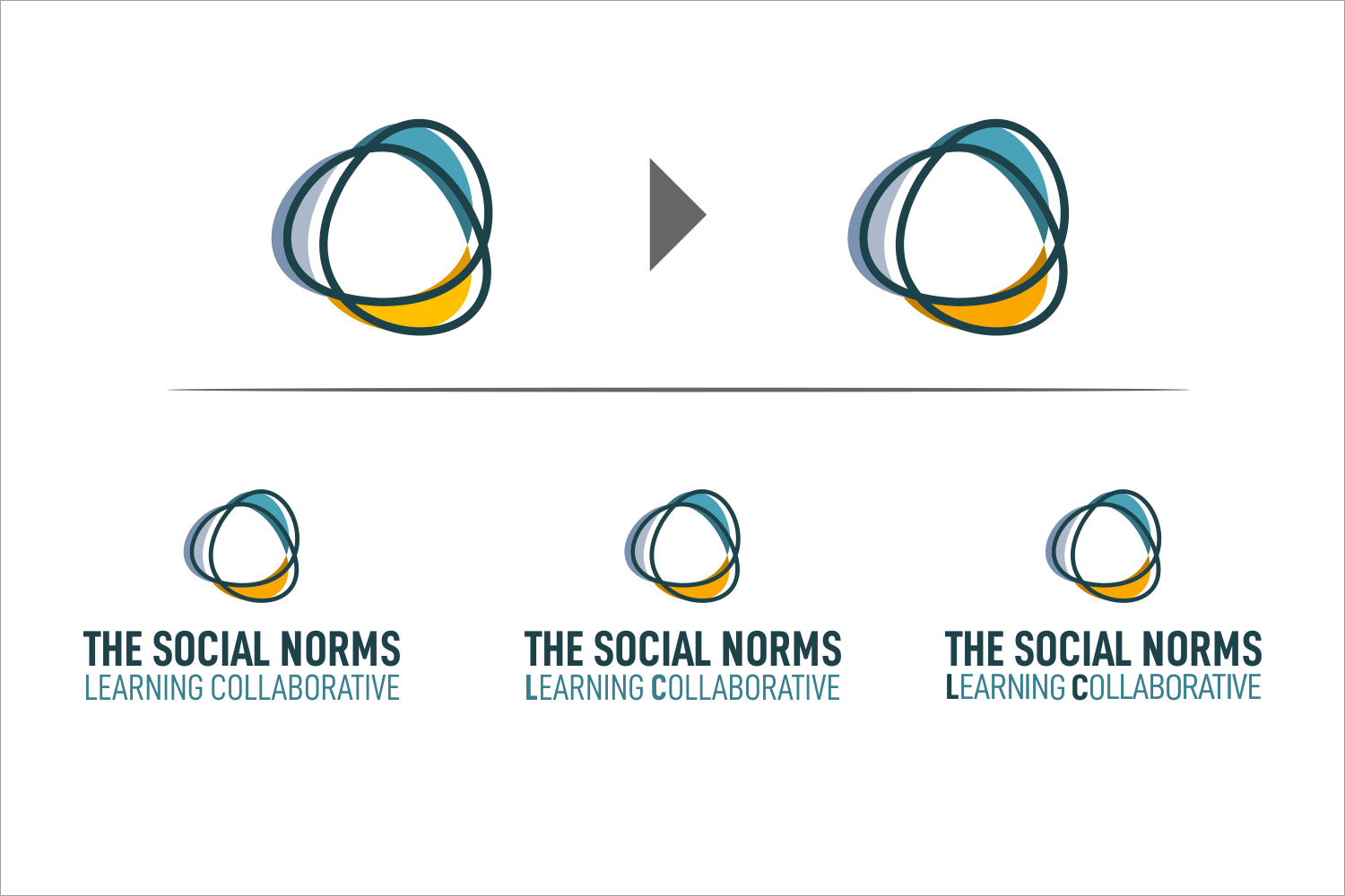 Logo Design by BUNG for Institute for Reproductive Health | Design #26310856