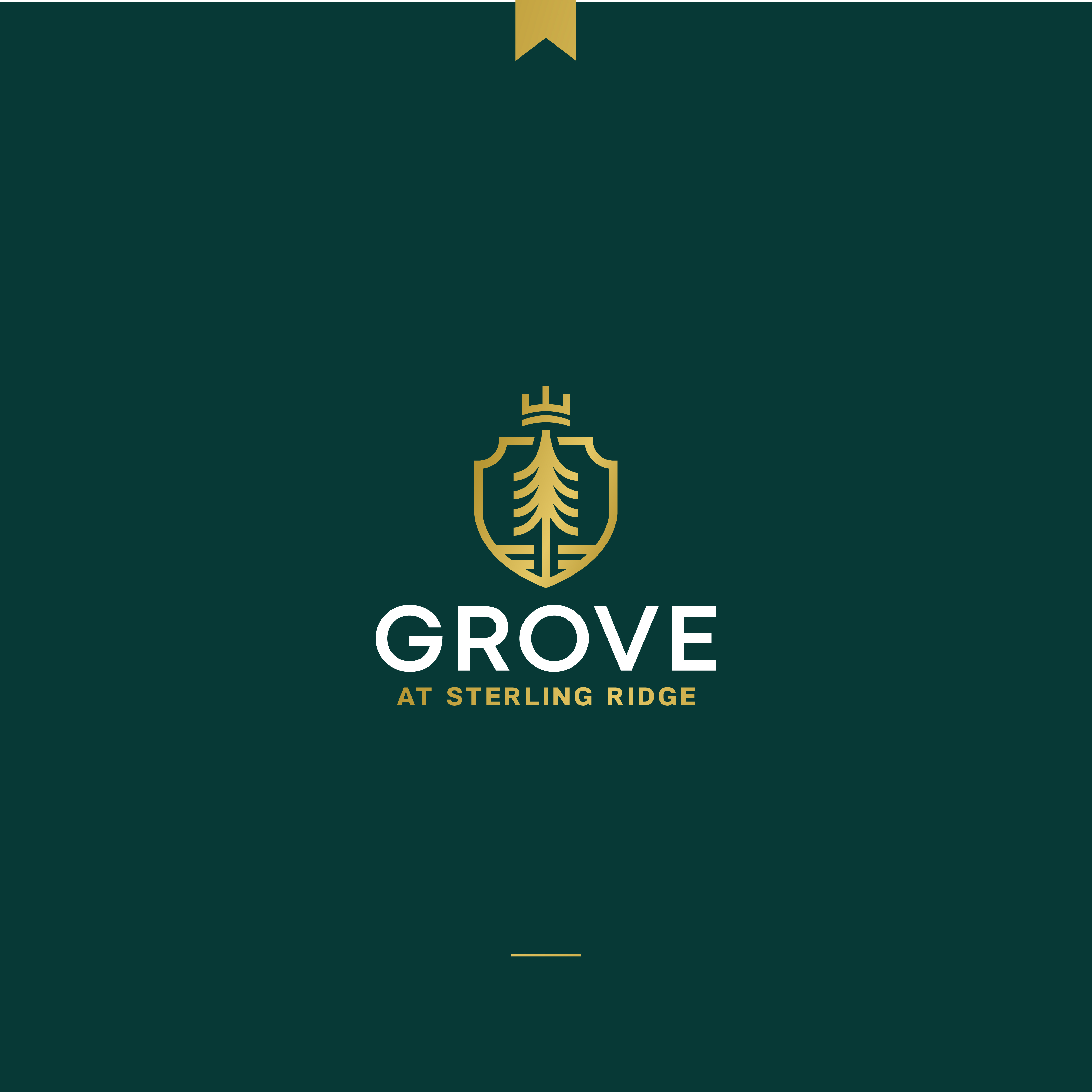 Logo Design by JBalloon Design for this project | Design #26106704
