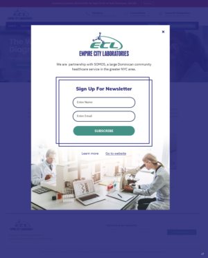Newsletter Design by pb for this project | Design: #26091880