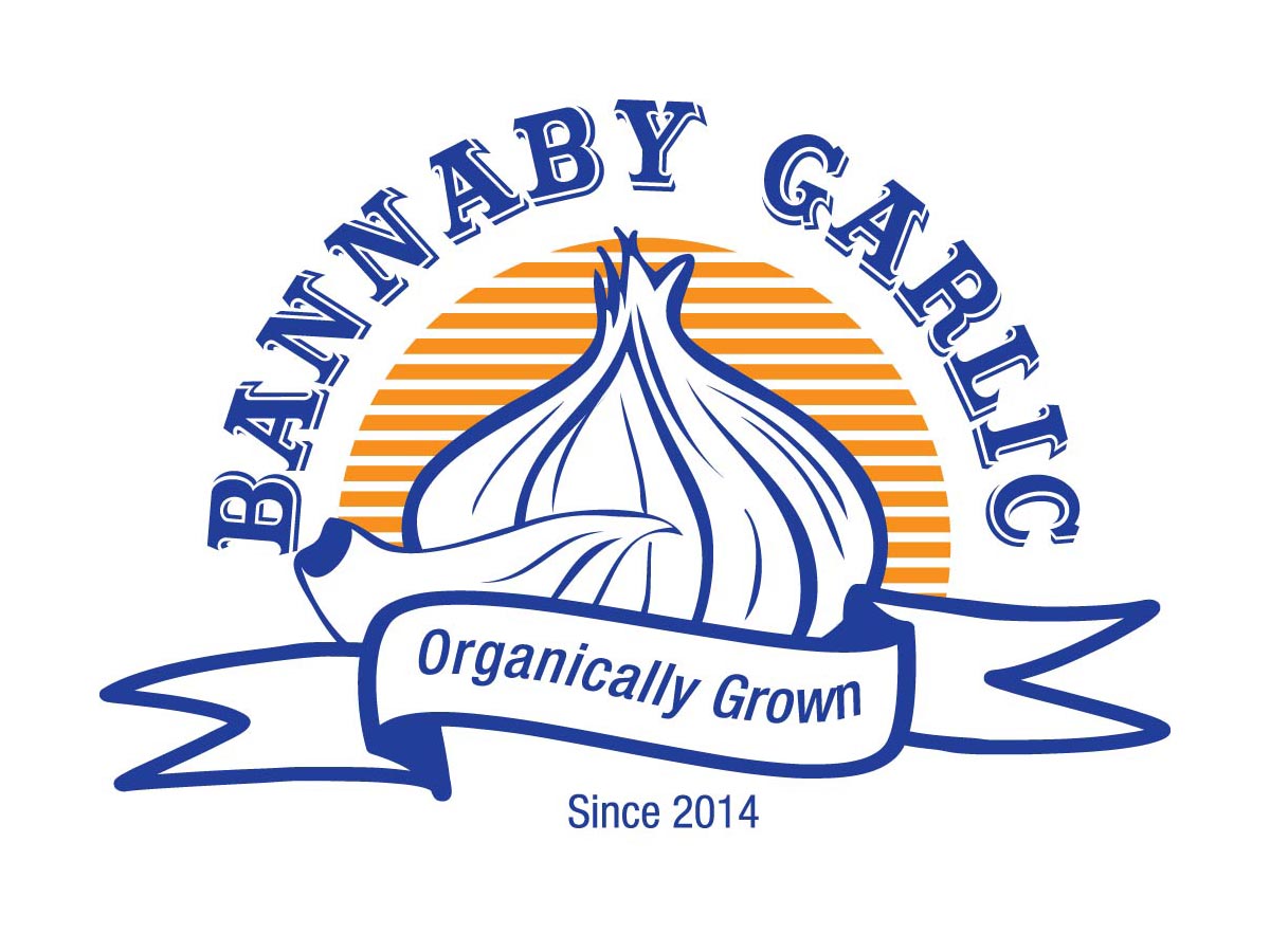 Logo Design by Shafique Khan for this project | Design #26112998