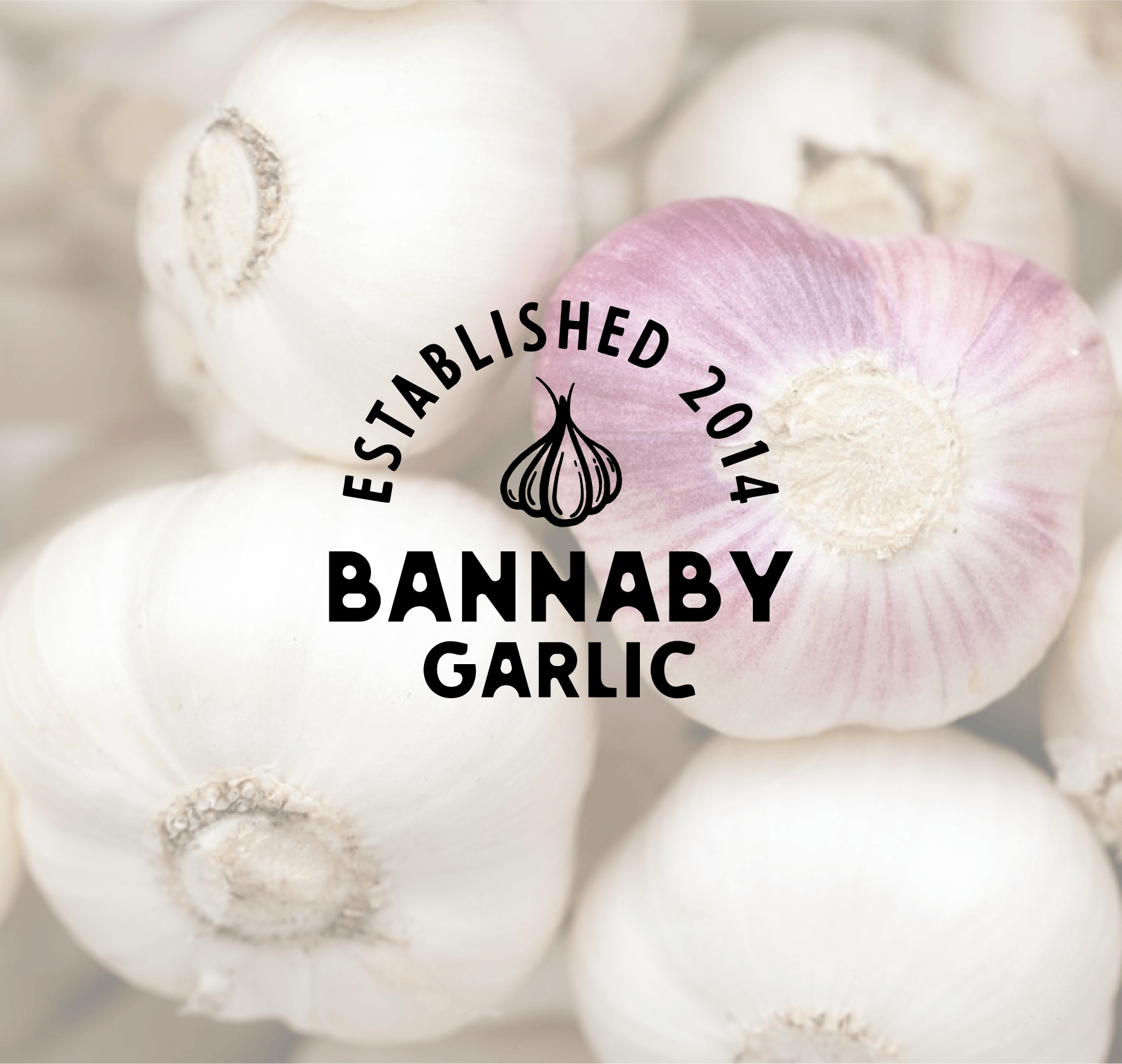 Logo Design by sarah 8 for this project | Design #26119808