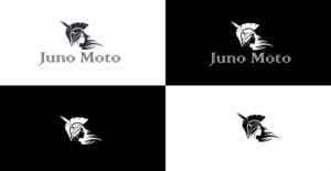 Logo Design by Victorious Visions