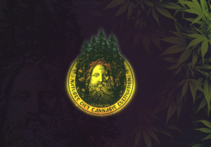 Logo Design by JTdsign for Natures Gift | Design: #26093589
