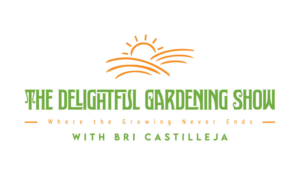 Logo Design by Nonso Onwodi
