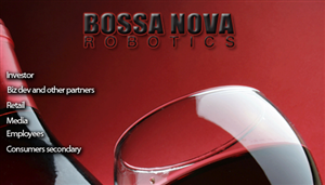 Web Design by Ansari