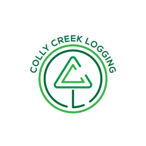 Logo Design by Anbu Chelvan