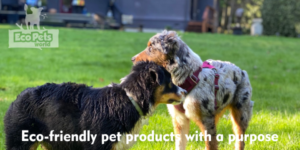 Logo Design by veronnie for this project | Design: #26189421