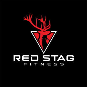 Logo Design by Avartde for Raven Systems Design, Inc | Design: #26328022