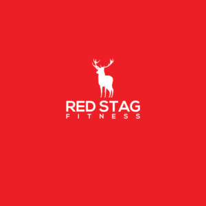 Design de Logo par DesignDUO pour Raven Systems Design, Inc | Design : #26129396