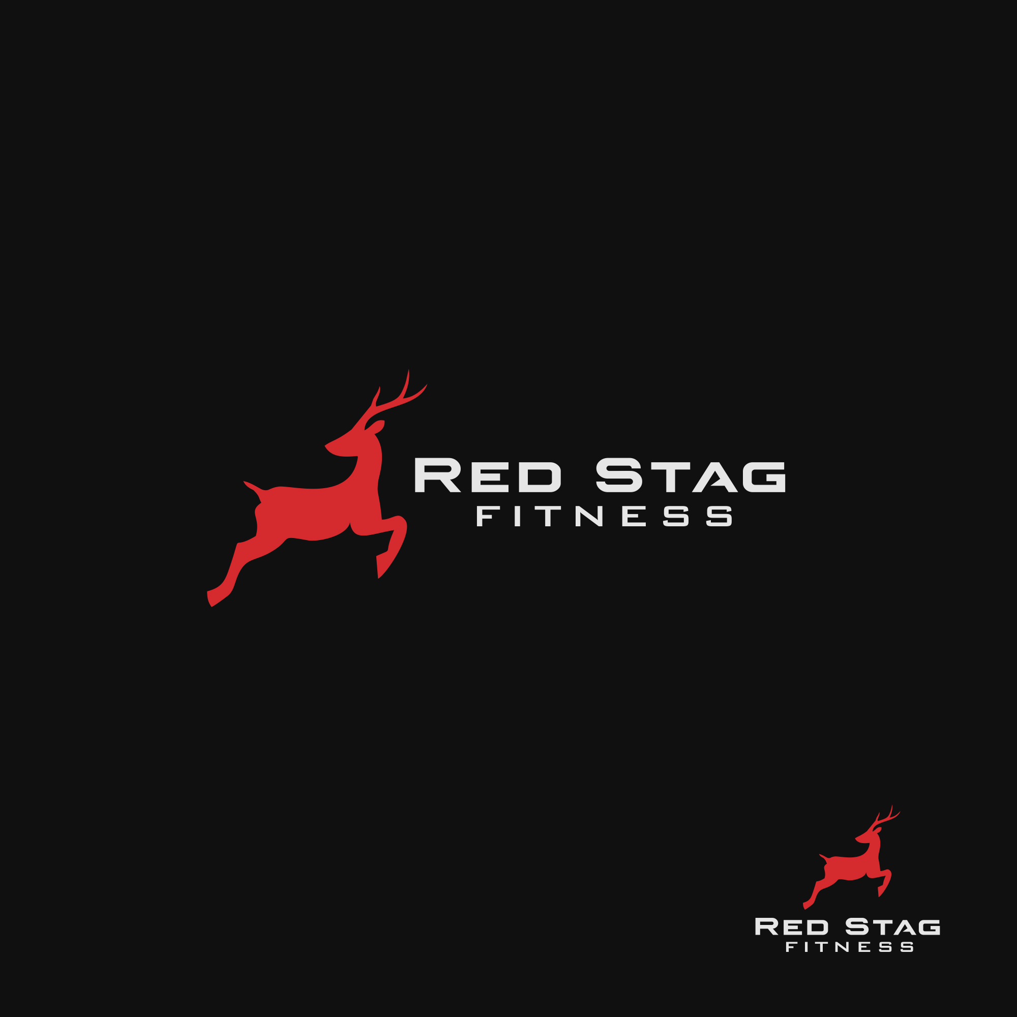 Logo Design by sonny.scarlet for Raven Systems Design, Inc | Design #26102765