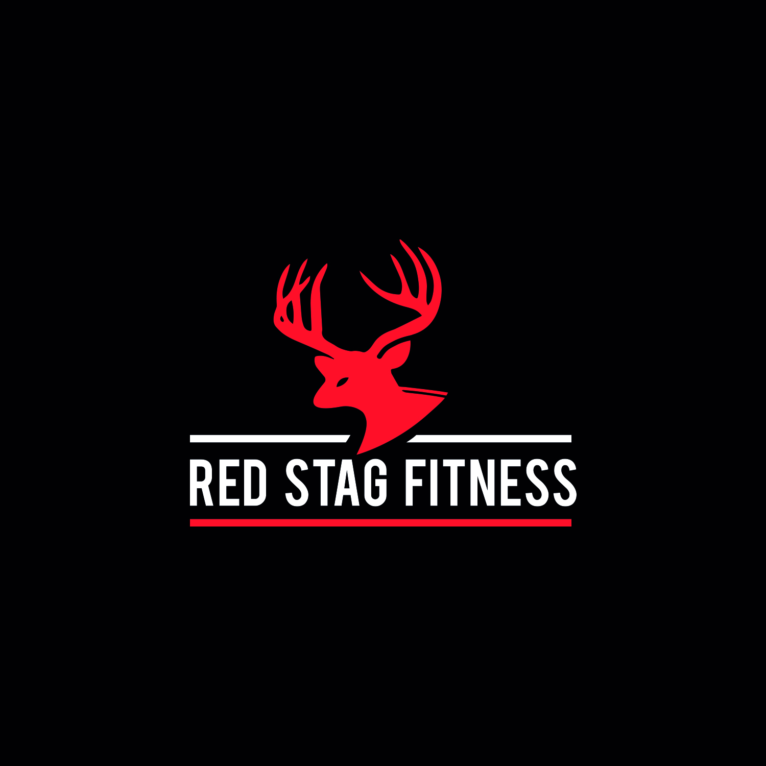 Logo Design by Maxo-Biz for Raven Systems Design, Inc | Design #26103747