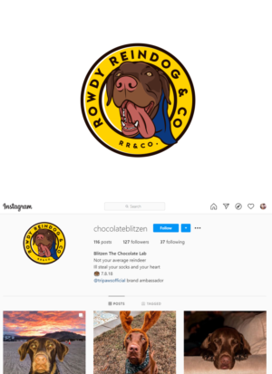 Logo Design by PsyPen for this project | Design: #26102802