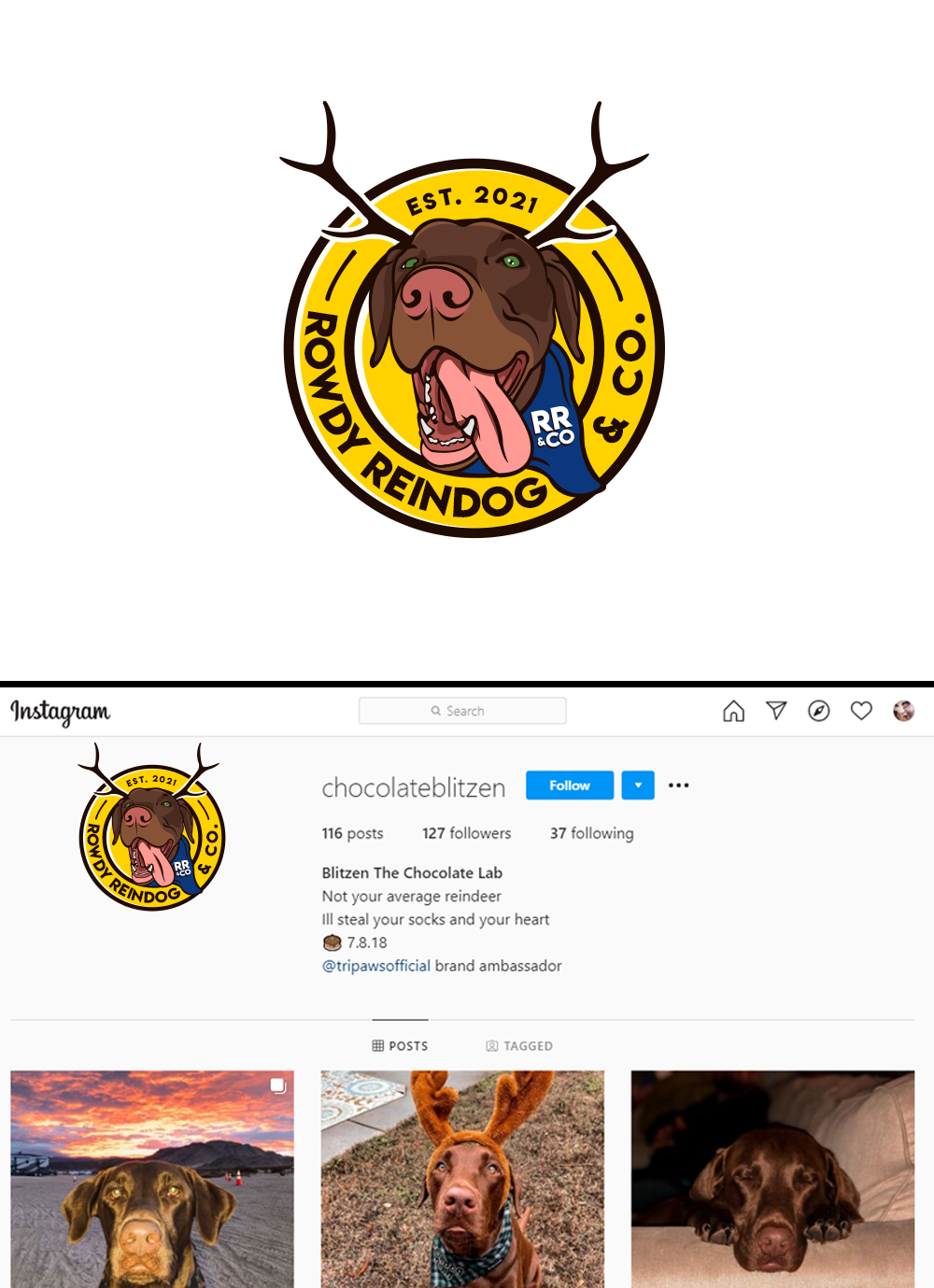 Logo Design by PsyPen for this project | Design #26120378