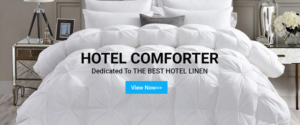 Web Design by Titan Eagle for this project | Design: #26202538