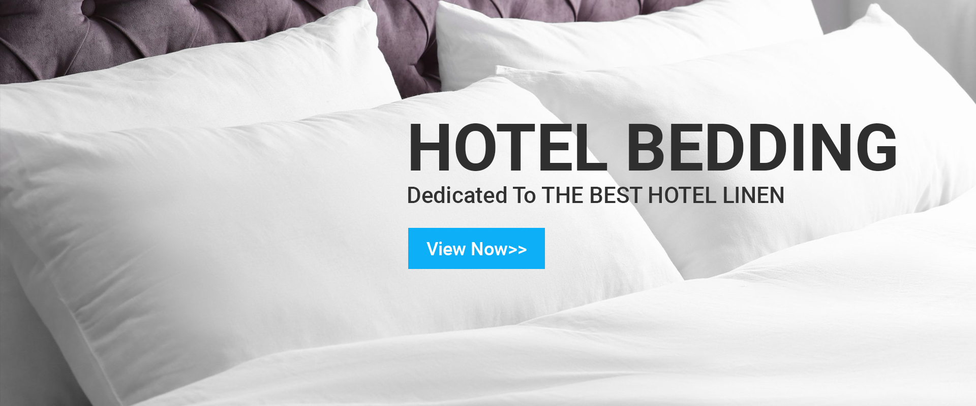 Web Design by Titan Eagle for this project | Design #26202539