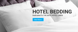Web Design by Titan Eagle for this project | Design: #26202539