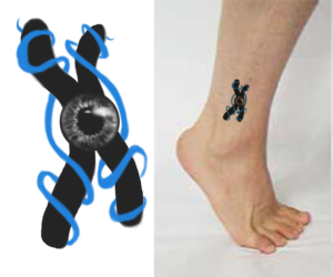 Tatto personalizado relacionado con la ANIRIDIA | Tattoo Design by Zhor Signatures