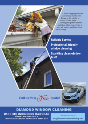 Flyer Design by fk12020 for Diamond Window Cleaning | Design: #26141503