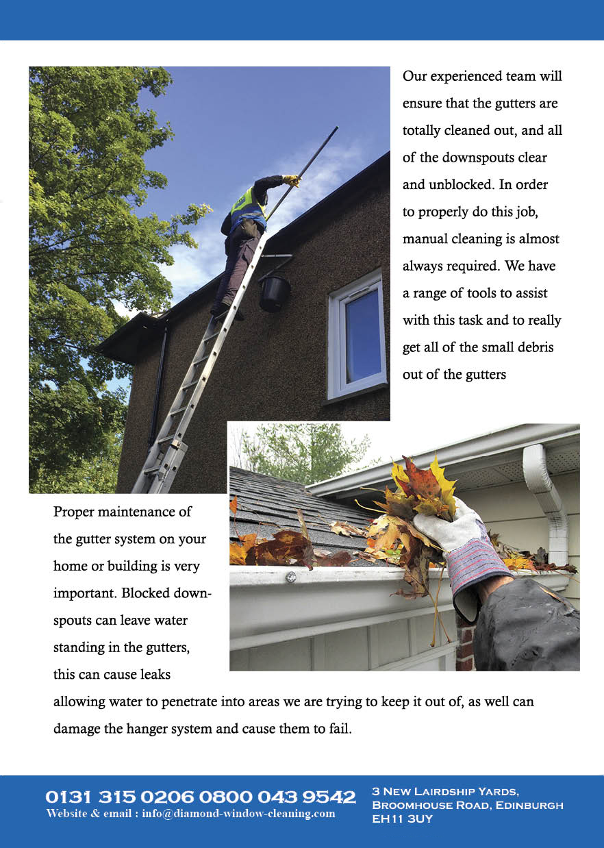 Flyer Design by fk12020 for Diamond Window Cleaning | Design #26151541