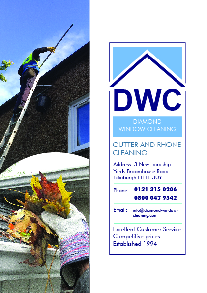 Flyer Design by TDuong for Diamond Window Cleaning | Design #26153804