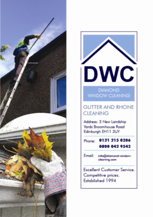 Design de Flyer par TDuong pour Diamond Window Cleaning | Design #26153804